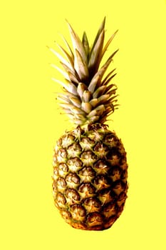 Pineapple