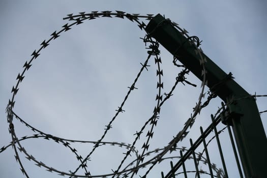 Jailed