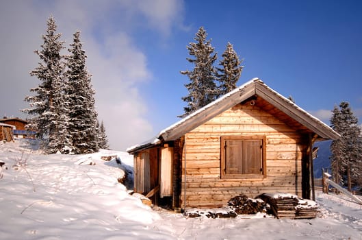Alpine pasture