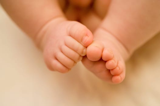 Baby feet