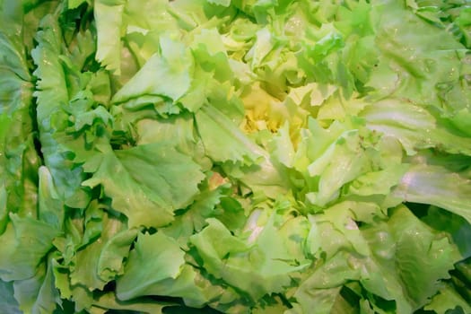 Winter salad