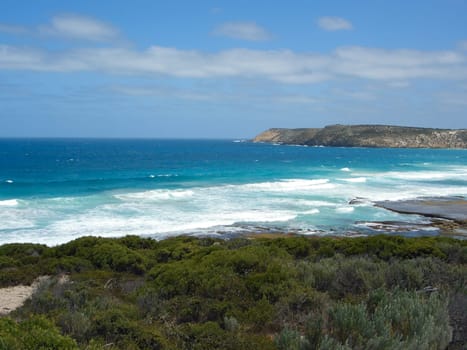 Seal Bay