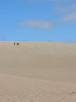 Sand Boarding