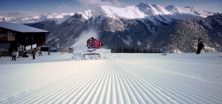Snowy landscape