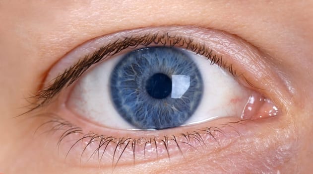 The Eye