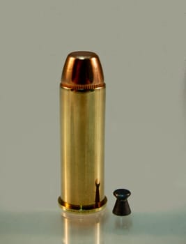 For better clarification,tiger claw,cat's claw! On the left the cartridge of a 44 Magnum revolver,on the right a diabolo air rifle bullet. As I said,don't go and pet tigers in the zoo!