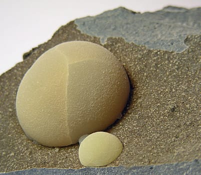 Calcite in spherical form on basalt / Location: Montalto di Castro,Tuscany ----- The name calcite is derived from the Greek "chal"" or from the Latin ""calx"": both mean lime. Calcite has the highest kris of all minerals"