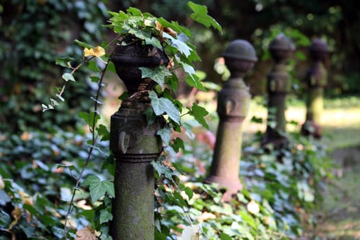 Ivy Post