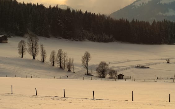 Once again for me the most beautiful hours of the day....... the late afternoon....!:-)