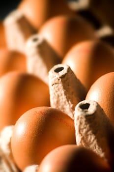 Eggs