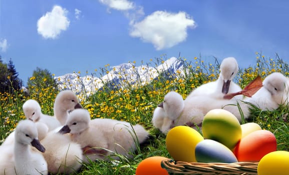 Spring