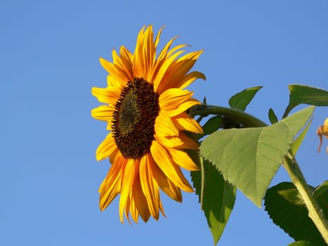 And it was summer...........