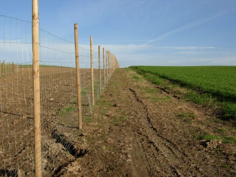 Wire mesh fence