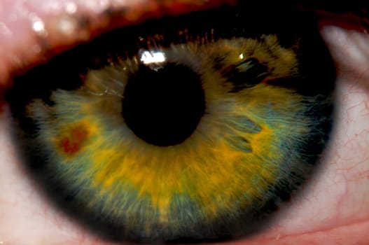 Fantasy Eyes