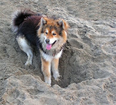 Hole