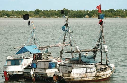Fleet