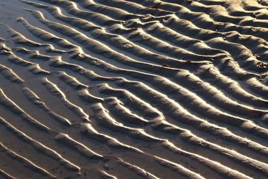 Waves in the Sand 1