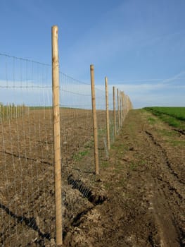 Wire mesh fence