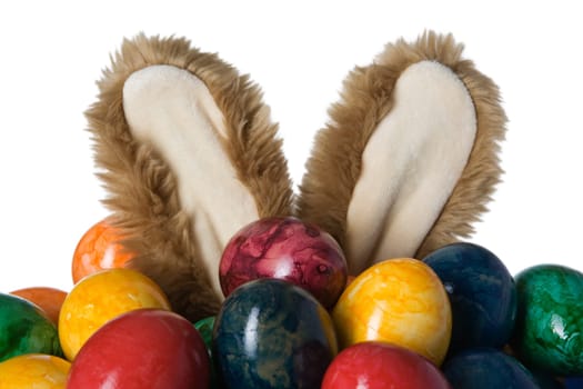 Rabbit between eggs