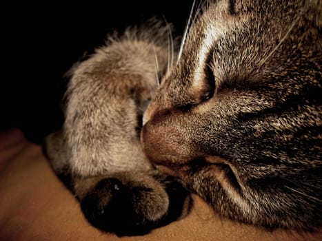 Snoring