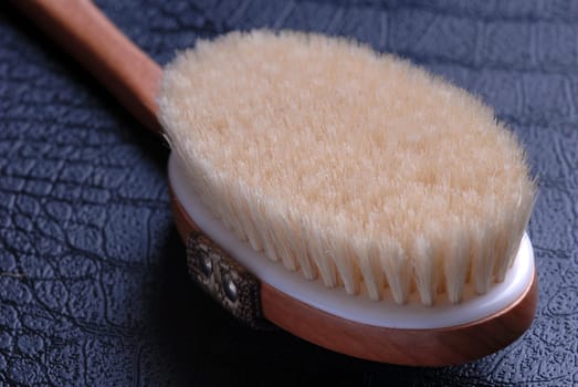 Brush
