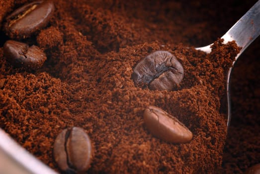 Fresh coffee