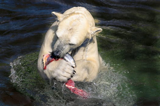 Mealtime