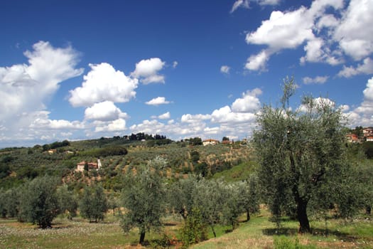 Tuscan countryside