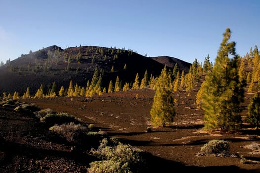 Teide National Park