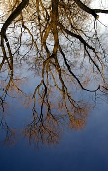 Water mirrors