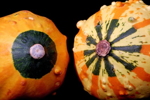 Ornamental pumpkins