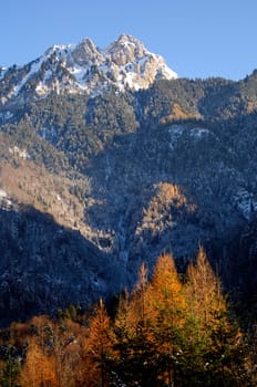 Autumn light