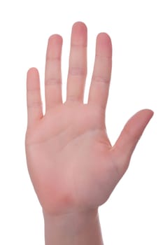 Palm
