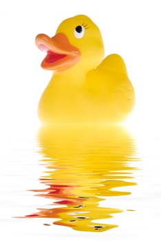 Yellow plastic duck in the water
