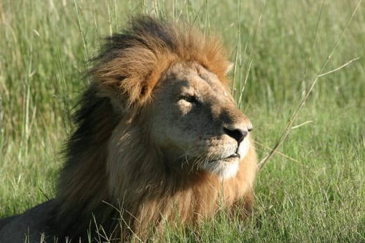 Okavango Delta 2005