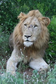 2007 South Africa,Mkuze Falls