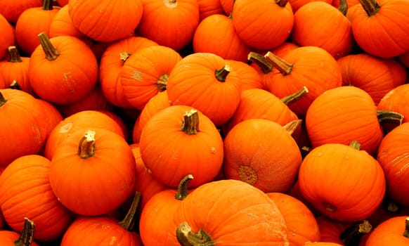 Autumn messengers