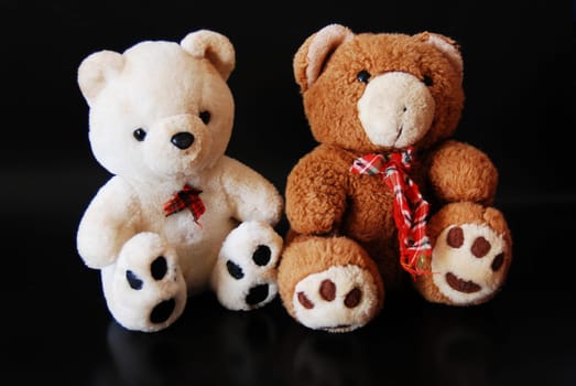 Bears