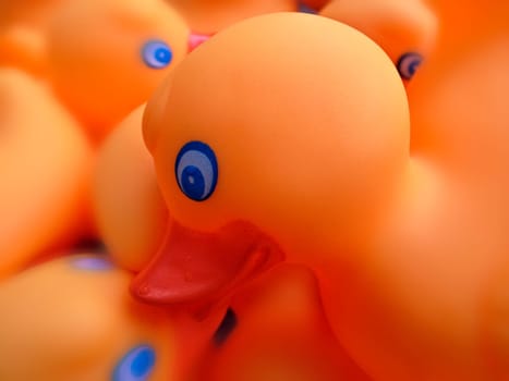 Duck heap(s) - 2
