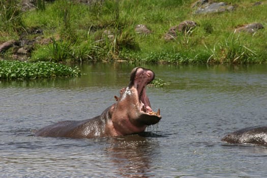 Tanzania 2004
