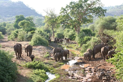 2006 Lake Mayara (Tanzania)