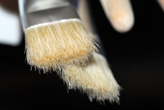 Bristle Brush 2