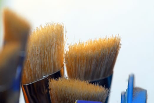 Bristle Brush 3