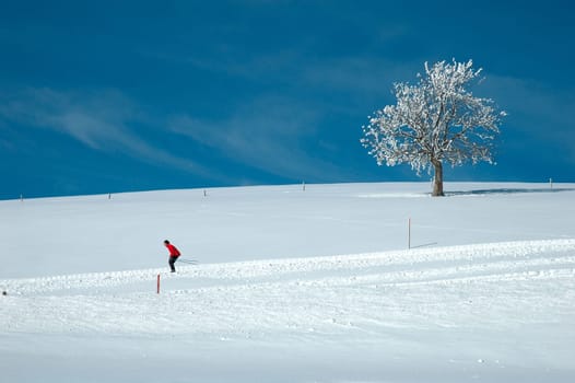 Winter magic