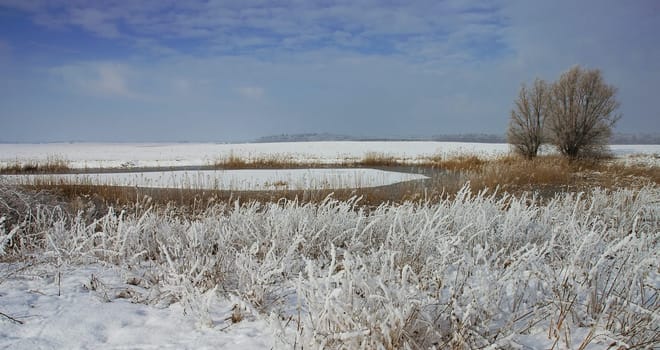 Yes,that's what it looked like here last winter....! Unfortunately there is no trace of snow this year....!:-)