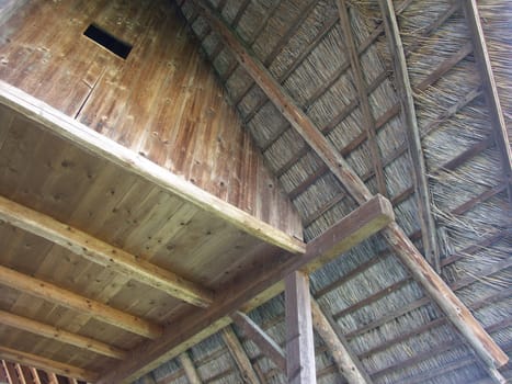 Thatched roof