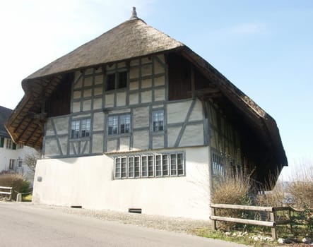 Thatched roof house front
