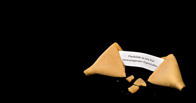 Lucky Cookie
