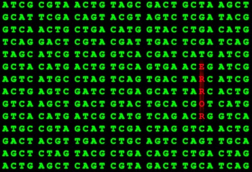 DNA Error 1