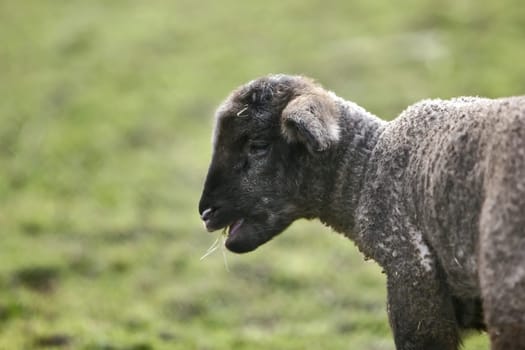 discovered today just 1 day old